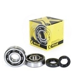 Подшипники коленчатого вала Pro-x 23.CBS11085