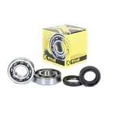 Подшипники коленчатого вала Pro-x 23.CBS22105