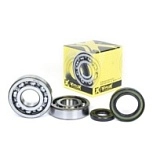 Подшипники коленчатого вала Pro-x 23.CBS23098