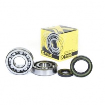 Подшипники коленчатого вала Pro-x 23.CBS23098