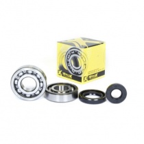Подшипники коленчатого вала Pro-x 23.CBS23099
