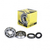 Подшипники коленчатого вала Pro-x 23.CBS31089