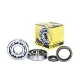 Подшипники коленчатого вала Pro-x 23.CBS33000