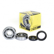 Подшипники коленчатого вала Pro-x 23.CBS42088