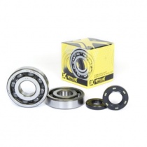 Подшипники коленчатого вала Pro-x 23.CBS43003