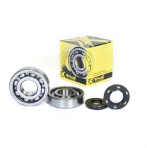 Подшипники коленчатого вала Pro-x 23.CBS43087