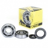 Подшипники коленчатого вала Pro-x 23.CBS12086