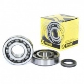 Подшипники коленчатого вала Pro-x 23.CBS34005