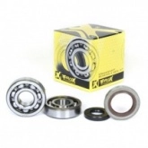Подшипники коленчатого вала Pro-x 23.CBS61009
