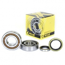 Подшипники коленчатого вала Pro-x 23.CBS62001