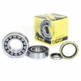 Подшипники коленчатого вала Pro-x 23.CBS63004