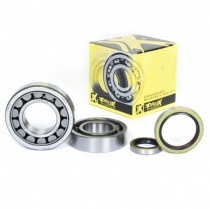 Подшипники коленчатого вала Pro-x 23.CBS63004