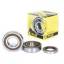 Подшипники коленчатого вала Pro-x 23.CBS64003
