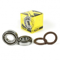 Подшипники коленчатого вала Pro-x 23.CBS64007