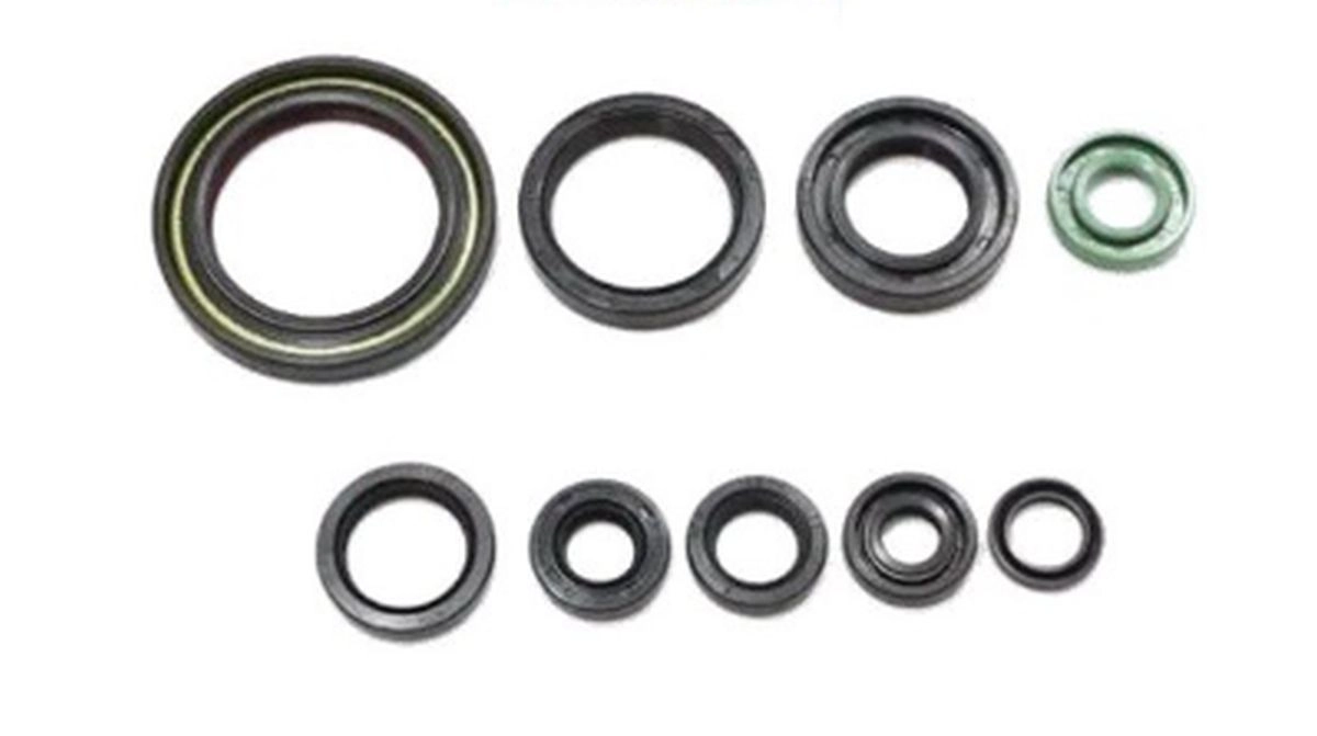 Сальники двигуна Bearing Worx OSK50319