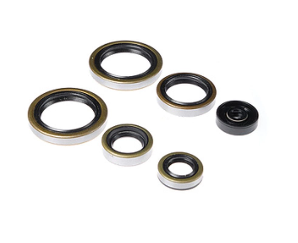 Сальники двигателя Bearing Worx OSK60187