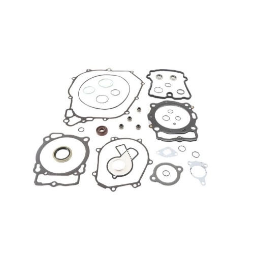 Комплект прокладок двигуна Winderosa 811374