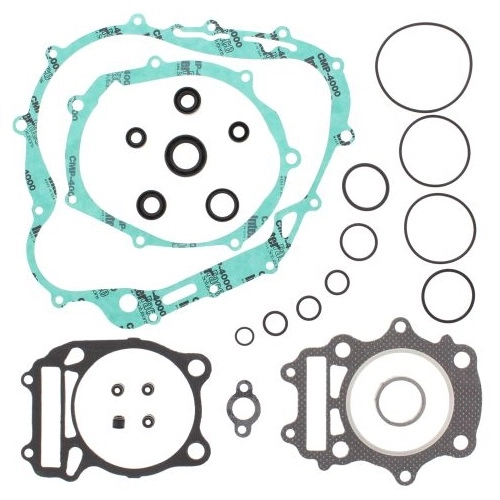 Комплект прокладок двигуна Winderosa 811584