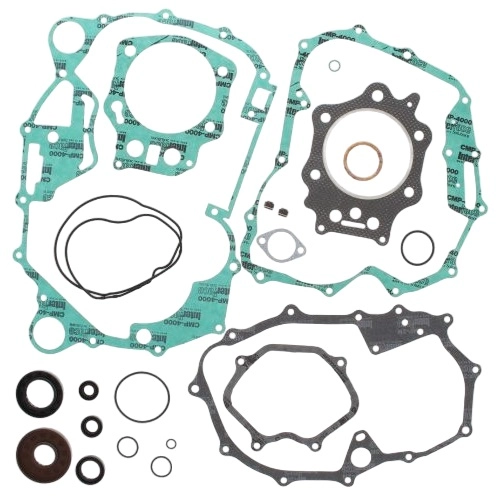 Комплект прокладок двигуна Winderosa 811858