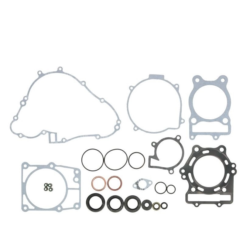 Комплект прокладок двигуна Winderosa 811860