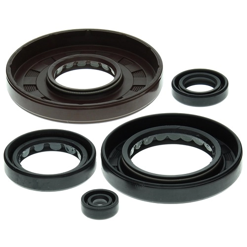 Сальники двигуна Winderosa 822210