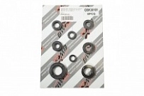 Сальники двигателя Bearing Worx OSK30181