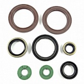 Сальники двигателя Bearing Worx OSK30248