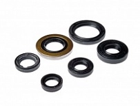 Сальники двигателя Bearing Worx OSK30278