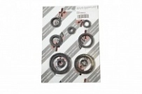 Сальники двигателя Bearing Worx OSK30315