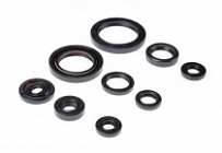 Сальники двигателя Bearing Worx OSK30332