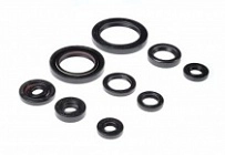Сальники двигателя Bearing Worx OSK30332
