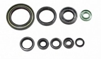 Сальники двигателя Bearing Worx OSK30357