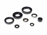 Сальники двигателя Bearing Worx OSK50183