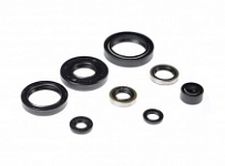 Сальники двигателя Bearing Worx OSK50183