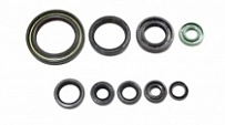 Сальники двигателя Bearing Worx OSK50319