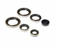 Сальники двигателя Bearing Worx OSK60187