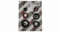 Сальники двигателя Bearing Worx OSK70254