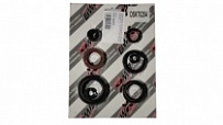 Сальники двигателя Bearing Worx OSK70254