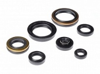 Сальники двигателя Bearing Worx OSK70266