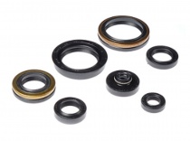 Сальники двигателя Bearing Worx OSK70266