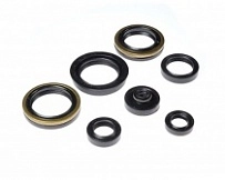 Сальники двигателя Bearing Worx OSK70317