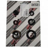 Сальники двигателя Bearing Worx OSK70329