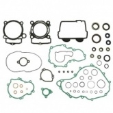 Комплект прокладок двигателя Namura NX-70065F