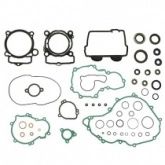 Комплект прокладок двигателя Namura NX-70065F