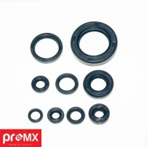 Комплект прокладок двигателя Promx PR0103