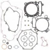 Комплект прокладок двигателя Winderosa 808469