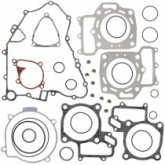 Комплект прокладок двигателя Winderosa 808879
