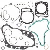 Комплект прокладок двигателя Winderosa 808916