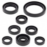 Сальники двигателя Winderosa 822167