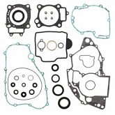 Комплект прокладок двигателя Winderosa 811268